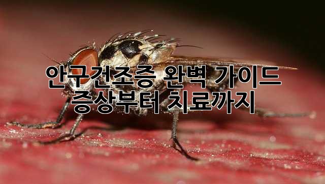 dd0383f6fbb751fdd119b34949bfe1a7.jpg