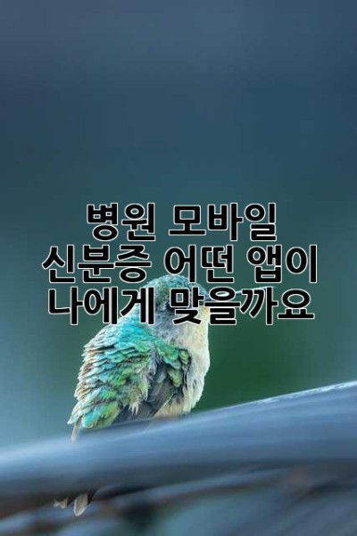 병원 모바일 신분증: 어떤 앱이 나에게 맞을까요?