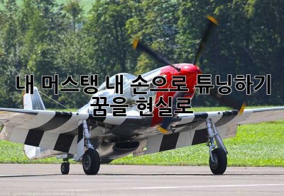 내 머스탱, 내 손으로 튜닝하기: 꿈을 현실로!