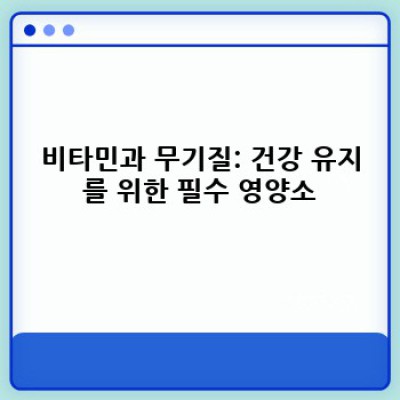 건강한 삶을 위한 다양한 영양소 완벽 가이드: 균형 잡힌 영양 섭취로 건강 관리하기