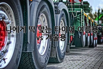 나에게 딱 맞는 타이어, 여름용 vs 겨울용? 🤔