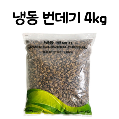 핵인싸템! 국산 번데기 대용량 득템 후기와 구매 꿀팁 대방출 ✨