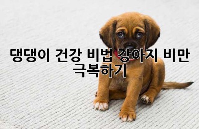댕댕이 건강 비법! 강아지 비만 극복하기