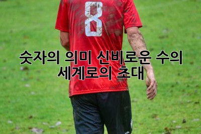 숫자의 의미: 신비로운 수의 세계로의 초대