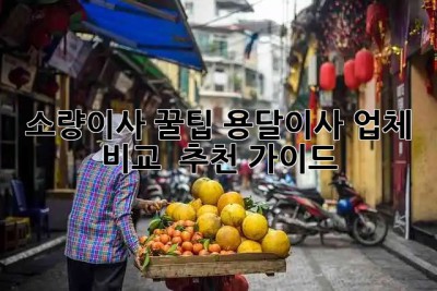 소량이사 꿀팁🍯 용달이사 업체 비교 & 추천 가이드