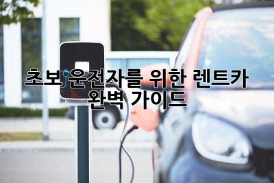 초보 운전자를 위한 렌트카 완벽 가이드