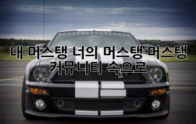 내 머스탱, 너의 머스탱: 머스탱 커뮤니티 속으로!