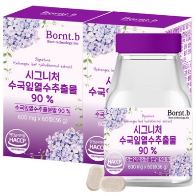 놓치면 후회! 풍성한 수국, 득템 후기🌸