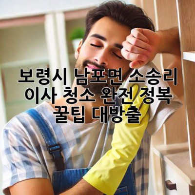 ✨ 보령시 남포면 소송리 이사 청소 완전 정복! 꿀팁 대방출 🍯