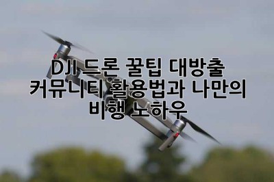 DJI 드론 꿀팁 대방출! 커뮤니티 활용법과 나만의 비행 노하우