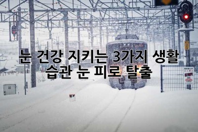 눈 건강 지키는 3가지 생활 습관: 눈 피로 탈출!