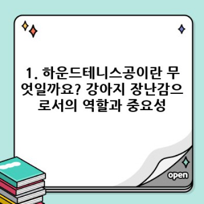 하운드테니스공: 모든 궁금증 해결! 종류, 선택법, 관리법까지 완벽 가이드