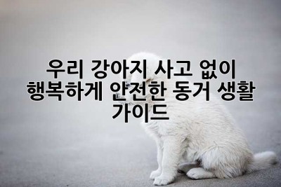 우리 강아지, 사고 없이 행복하게!🐶 안전한 동거 생활 가이드