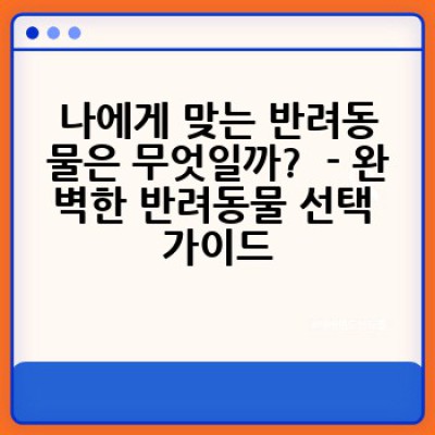 반려동물과 행복한 동거: 똑똑한 선택과 현명한 관리 가이드