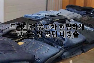 🚗 프리미엄 중고차, 현명하게 고르는 법 꿀팁 대방출! 💰