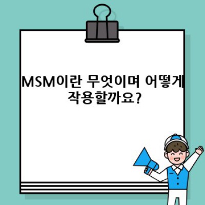 MSM 효능 완벽 가이드: 관절 건강부터 피부 개선까지
