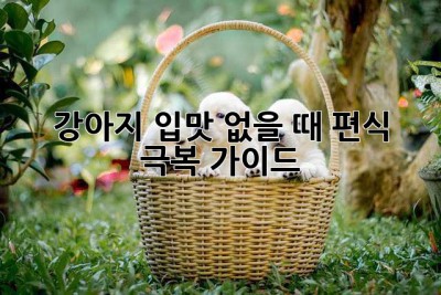 강아지 입맛 없을 때? 편식 극복 가이드!