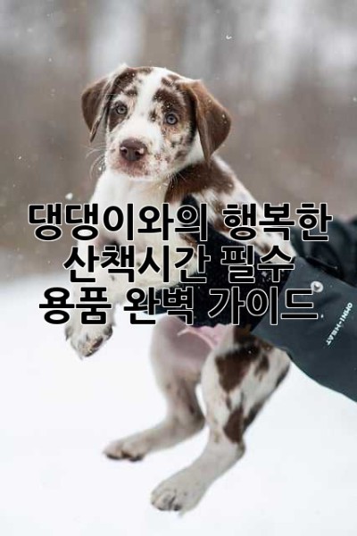 댕댕이와의 행복한 산책시간: 필수 용품 완벽 가이드!