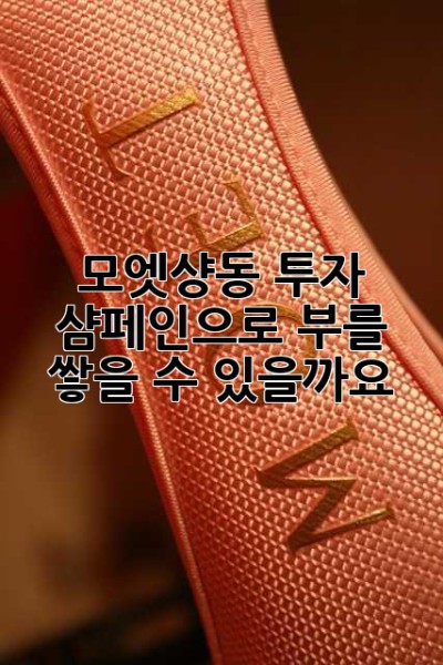 모엣샹동 투자: 샴페인으로 부를 쌓을 수 있을까요?