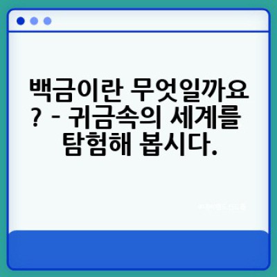 백금: 당신이 알아야 할 모든 것 – 활용, 가치, 그리고 투자 전략까지!