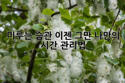 미루는 습관? 이젠 그만! 나만의 시간 관리법