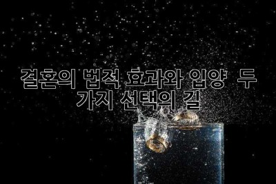 결혼의 법적 효과와 입양:  두 가지 선택의 길