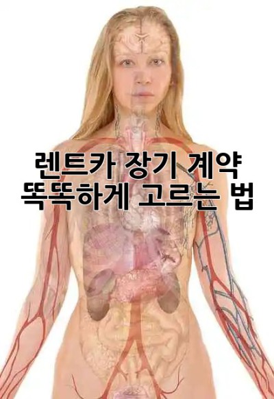 🚗 렌트카 장기 계약? 똑똑하게 고르는 법! 😎