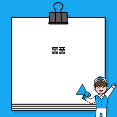 쥐꼬리선인장 완벽 가이드: 재배부터 효능까지