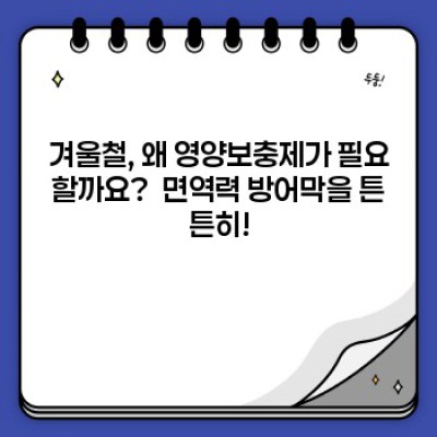 겨울철영양보충제 요약정보 우선 확인: 면역력 UP! 건강한 겨울나기 가이드