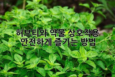 허브티와 약물 상호작용: 안전하게 즐기는 방법