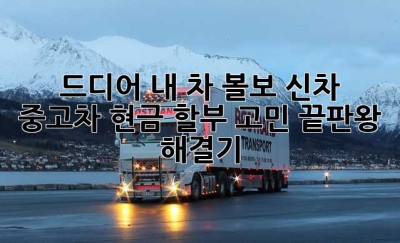 드디어 내 차, 볼보! 신차? 중고차? 현금? 할부? 고민 끝판왕 해결기